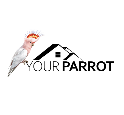 YOUR PARROT