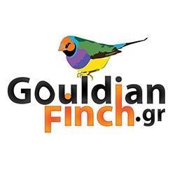 GouldianFinch
