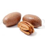 Pekanové ořechy 1kg