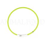 Obojek pro psa Flash Light USB 30-45cm zelený