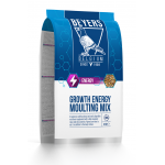 BEYERS GROWTH-ENERGY-MOULTING MIX 4kg
