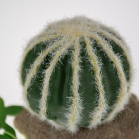 Terarijní dekorace Echinocactus S