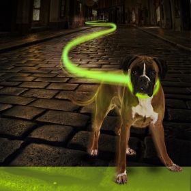 Obojek pro psa Flash Light USB 35-65cm zelený