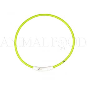 Obojek pro psa Flash Light USB 30-45cm zelený