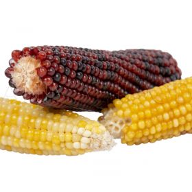 Kukuřičky pro hlodavce Corn Cob Mix 3ks