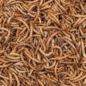 Deli Nature Greenline Mealworms