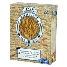 TOP INSECT Mealworms 420g / 1 litr