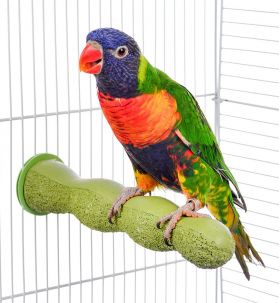 Brusné bidlo pro papoušky