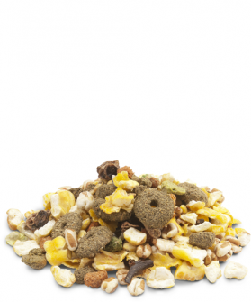VERSELE-LAGA Crispy Snack Popcorn